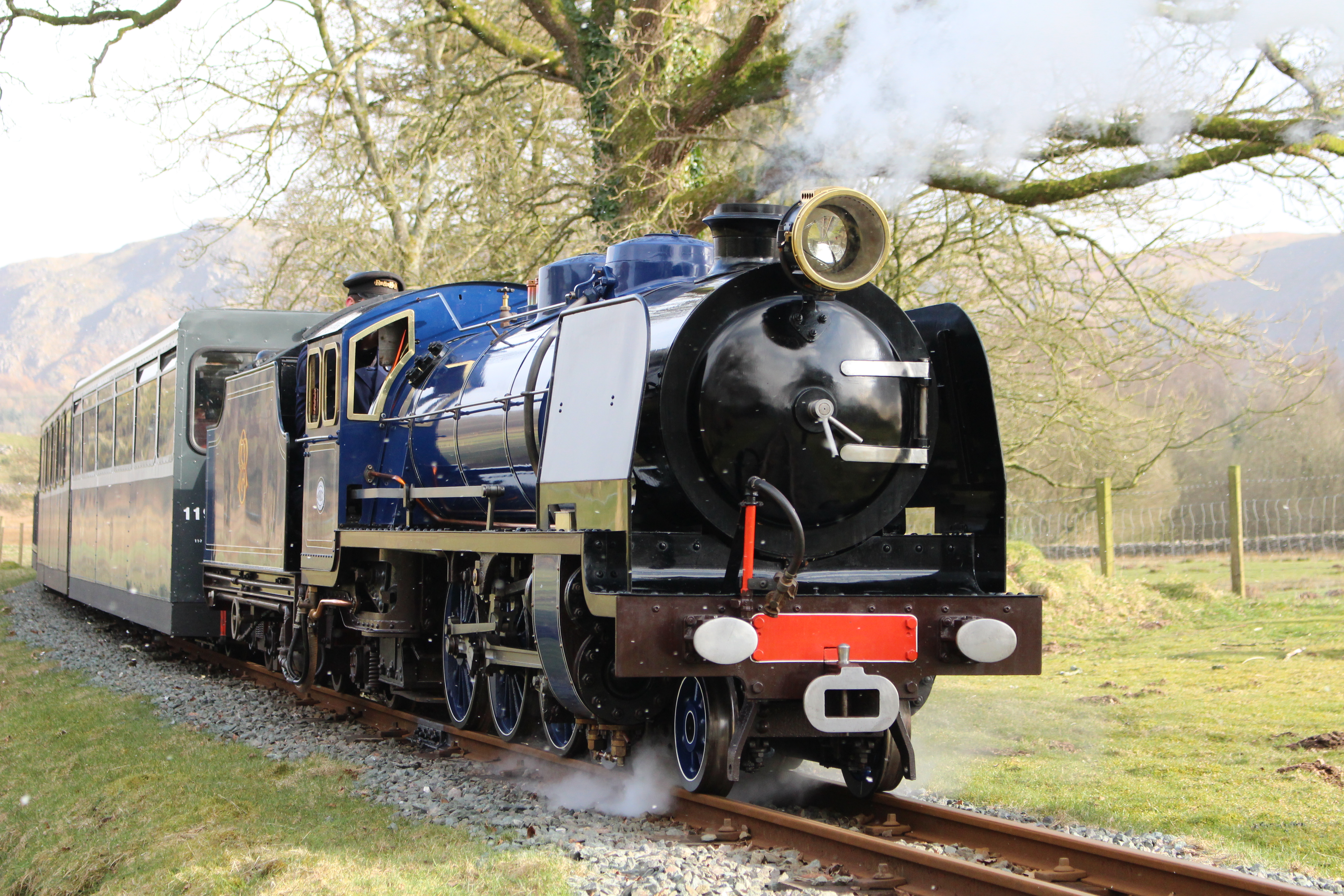 New steam railway фото 12